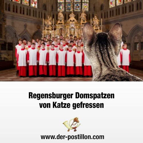 Screenshot 2021-12-25 at 02-04-57 Der Postillon ( realpostillon) • Instagram-Fotos und -Videos